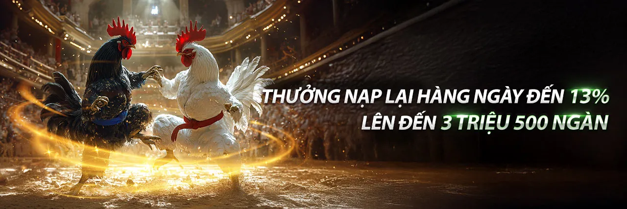 Sòng bạc trực tuyến 888 bet đầy kịch tính